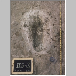 12-px84b-10-23 dodm.jpg